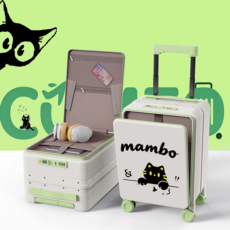 Carry-on Luggage Mini 16 Inch  - Aluminum Frame Carry On Luggage 评论和价格